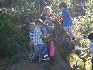 Vier Kinder klettern auf Baumhügel